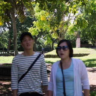 SAM_2511