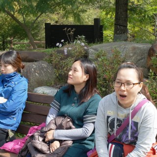 SAM_4137