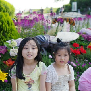 SAM_3572