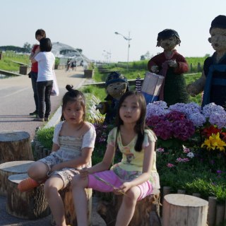 SAM_3570