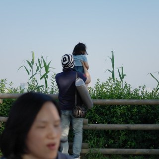 SAM_3551