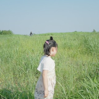 SAM_3495