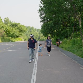 SAM_3463