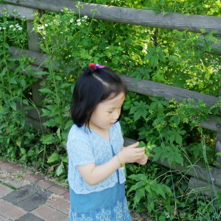 SAM_3457