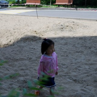 SAM_3401