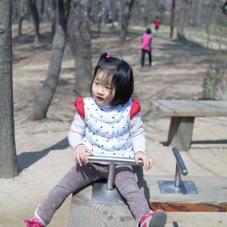 SAM_2726