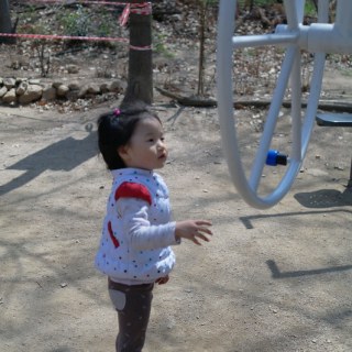 SAM_2730