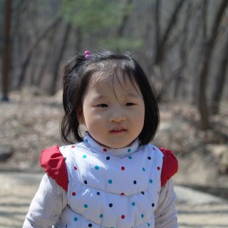 SAM_2718