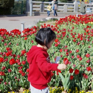 SAM_2523