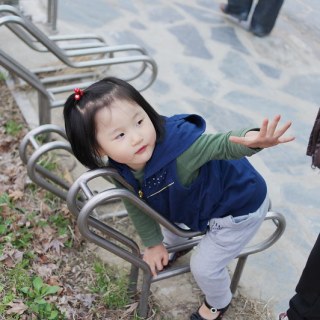 SAM_2446