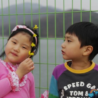 SAM_2441