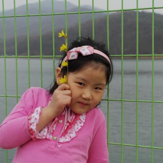 SAM_2439
