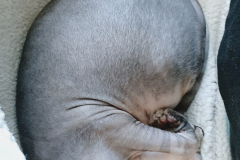 2019-11-09-12-08-41-620