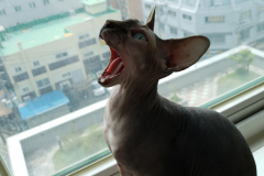 20190518_141830