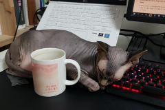 KakaoTalk_20220413_215019675