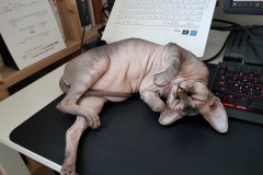 KakaoTalk_20220415_163249072