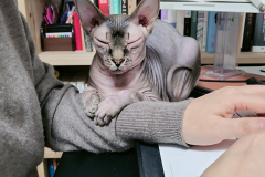 SNOW_20220219_211316_084