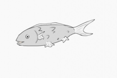 1424336087345_16392093619_o