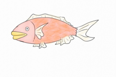 1424336089685_16577248212_o