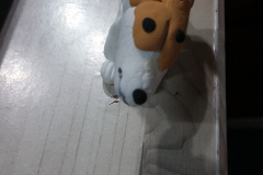 20140829_202437_15069302201_o