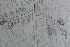 20140913_103501_15065844750_o