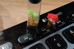 20140927_154823_15223590000_o