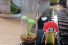 20140927_154913_15223511229_o