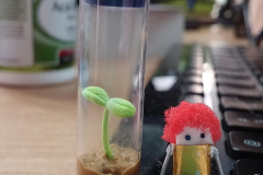 20140927_154927_15290526559_o