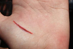 20141003_125105_15240240247_o