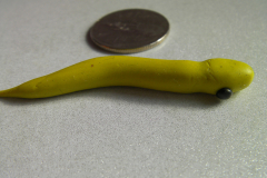 SANYO DIGITAL CAMERA