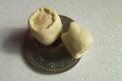 SANYO DIGITAL CAMERA