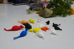 sam_1375_5621481893_o