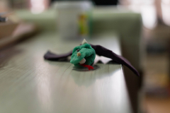 sam_2360_14922504395_o