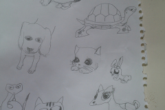 sam_6356_7961853486_o