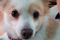 20140927_162127_15474283641_o