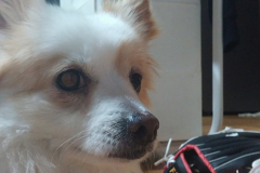 20150524_200453_18010854116_o