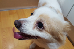 20150901_192914_21057217625_o