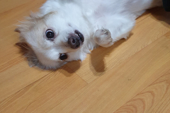 20210411_000344_51309085578_o