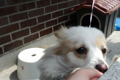 6974074222_230513d1e3_o