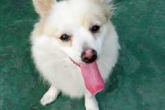 7185118321_6f57bf221e_o