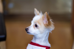 sam_0114_7988299899_o