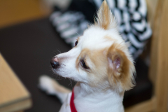 sam_0116_7988306322_o