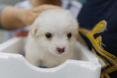 sam_3148_5699617284_o