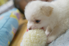 sam_3174_5699660474_o