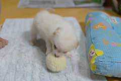 sam_3181_5699098989_o