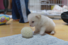 sam_3185_5699107221_o