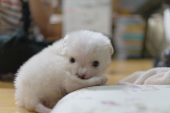 sam_3188_5699112125_o