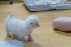 sam_3192_5699693286_o