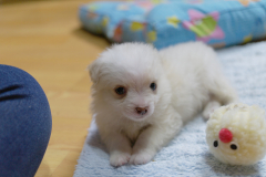 sam_3194_5699698534_o