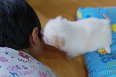 sam_3205_5699725472_o